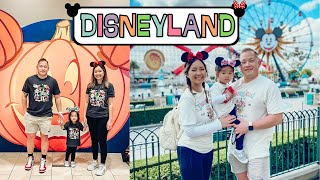 Disneyland amp DCA w a Toddler  TRAVEL VLOG  TWT [upl. by Cord]