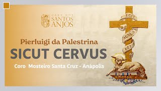 Sicut Cervus  Palestrina [upl. by Aietal]