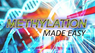 Methylation made easy [upl. by Eenahs]