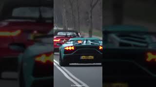 GINTANI Aventador SVJ RACING Through the woods [upl. by Sib211]