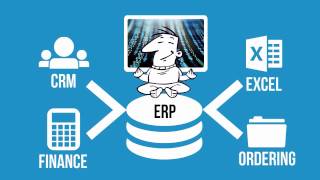 What is ERP software [upl. by Elac530]