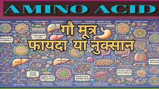 AMINO ACID METABOLISM  SCIENCE upsccbseviralvideoyoutube [upl. by Dena]