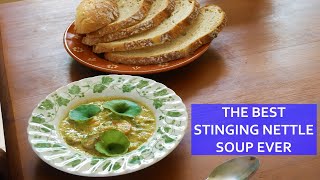 THE BEST EVER STINGING NETTLE SOUP RECIPE [upl. by Bivins]