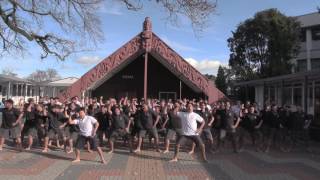 TBC College Haka for Peter Burling [upl. by Radbun]