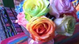 HOW TO Tie Dye Roses  DIY Rainbow Roses and Flowers [upl. by Krilov]