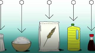 Food Fortification  Basics [upl. by Cheke]