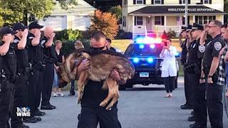 Dying K9 Officer With Liver Cancer Gets Final Salute By Police Department [upl. by Stedman]