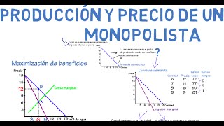 Monopolio  Cap 20  Microeconomía [upl. by Aizat219]