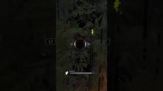 I wasnt even running Boil Over 🤣🤟 summonkitty dbdsurvivor solosurvivor survival strategy dbd [upl. by Nonnel]