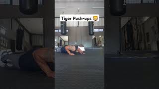 Tiger Pushups 🦁🔥 shorts aesthetic calisthenics [upl. by Takken]