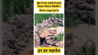 खेत में धान लगाते समय विशाल शिवलिंग 😱 खेत का मालिक हक्का बक्का रह गया Shivling shortsfeed [upl. by Aleusnoc]