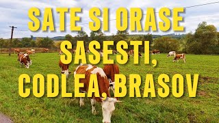 SATE SI ORAȘE SASESTI  CASE TRADITIONALE CU TIGLA DIN LUT  CODLEA  BRASOV [upl. by Eltsirhc599]