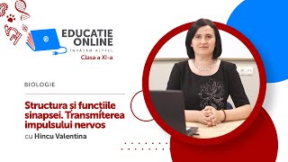 Biologie clasa a XIa Structura și funcțiile sinapsei Transmiterea impulsului nervos [upl. by Sihtam]