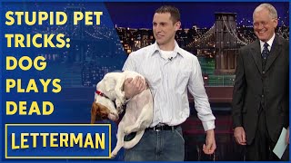 Stupid Pet Tricks Dog Plays Dead  Letterman [upl. by Ellives]