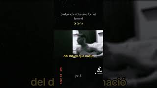 Sudestada  Gustavo Cerati cover by Vin Levin cerati cover parati chile sodastereo fyp [upl. by Aihsei]