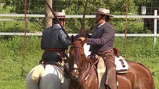 FERIA DEL CABALLO 2018  ACOSO Y DERRIBO 05052018 [upl. by Cannice]