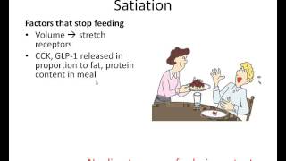 Regulation of Satiety and Satiation [upl. by Aramit]