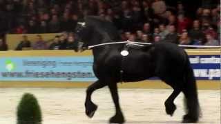 Olrik 383Stallion show Leeuwarden 2012 [upl. by Hosea872]