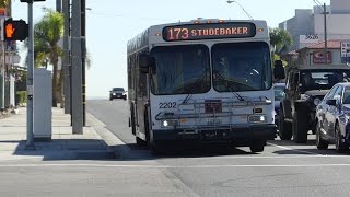 CA Long Beach Transit 2002 New Flyer D40LF Route 173 Bus 2202 at Redondo AvePacific Coast Hwy [upl. by Ellimaj]