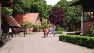 Tierklinik Brockhagen Unternehmensfilm [upl. by Leifeste]