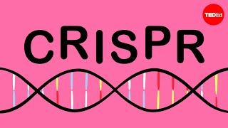 How CRISPR lets you edit DNA  Andrea M Henle [upl. by Jedidiah891]