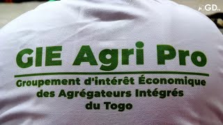 Togo Le GIE AgrIPro formalisé à Atakpamé [upl. by Oshinski64]