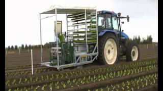 Fully automatic planting machine  4 row vegetable transplanter [upl. by Annemarie]