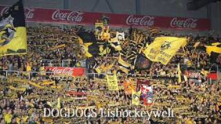 Krefeld Pinguine Die Besten Fans der Welt [upl. by Buchheim269]