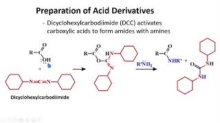 Preparations amp Transformations │ Carboxylic Acids amp Derivatives │ Organic Chemistry [upl. by Bordie962]