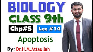 Apoptosis  Cell cycle  Chapter 5  9th class Biology  Lec14 [upl. by Raouf]