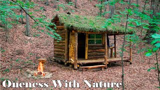 Warm shelter for survival in the wild forestA house in the forest from start to finish Full video [upl. by Ameerahs866]