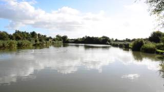 PAWLETT PONDS PAWLETT BRIDGWATER SOMERSET [upl. by Aerdnad394]