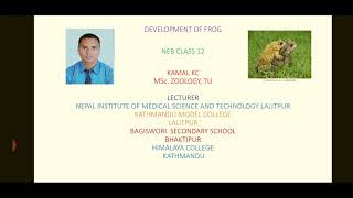 development of frog class 12 zoology [upl. by Atipul]