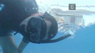 How To Snorkel Safely [upl. by Garnes1]