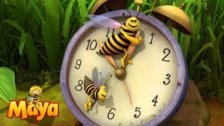 Maya the Bee  Intro [upl. by Ellenuahs537]