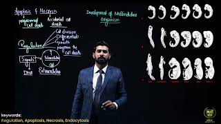 Necrosis and Apoptosis  12TH BIOLOGY  CHAPTER 21  LECTURE 14 [upl. by Rasaec]