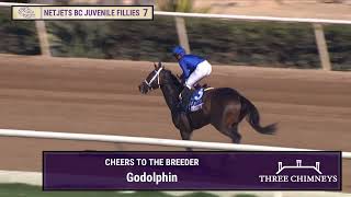 Immersive wins the NetJets Breeders Cup Juvenile Fillies GI race 7 at Del Mar 11124 [upl. by Isborne]