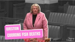 Question Coorong Fish Deaths [upl. by Ycrep]