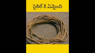 Vellu cycle tho assalu em cheystharu telugu facts amazingfacts [upl. by Detta920]