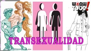 ¿QUÉ ES LA TRANSEXUALIDAD  por PsicoVlog [upl. by Deibel]