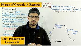 Growth in bacteria  Population increase of bacteria [upl. by Anivahs]