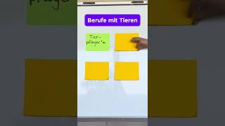 Berufe mit Tieren tiere azubi berufswahl tierberufe enjoylehre ausbildung [upl. by Xuerd]