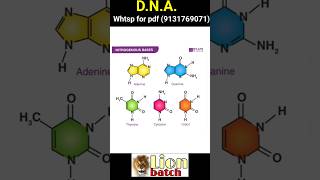 DNA bsc zoology genetics bsc 3rd year bsczoology 9131769071 biology neet knowledgeadda [upl. by Dnomad]