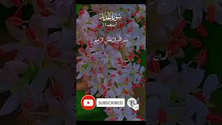 Surat al hadid verse 11 translation in beautiful voice surat al Hadid translation [upl. by Lion400]