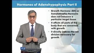 Hormones of Adenohypophysis  Part 2  Animal Form amp Function 1 Theory  ZOO516TTopic127 [upl. by How]