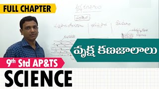 Plant tissues  వృక్ష కణజాలాలు  Class 9 Science TM [upl. by Soll]