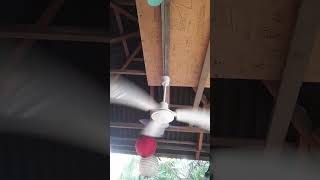 industrial ceiling fan start up [upl. by Dauf]