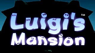 Luigis Mansion  All Portrait Ghosts Bosses No Damage [upl. by Yand]