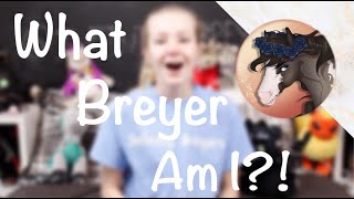 WHAT BREYER AM I [upl. by Jews]