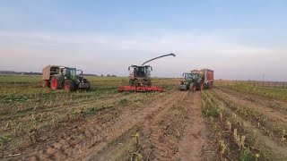 Koszenie kukurydzy na BGAFendt Katan 65Fendt Vario 724927JD 6130RGR BrdakAgrotechnik Tafiły [upl. by Lezti]